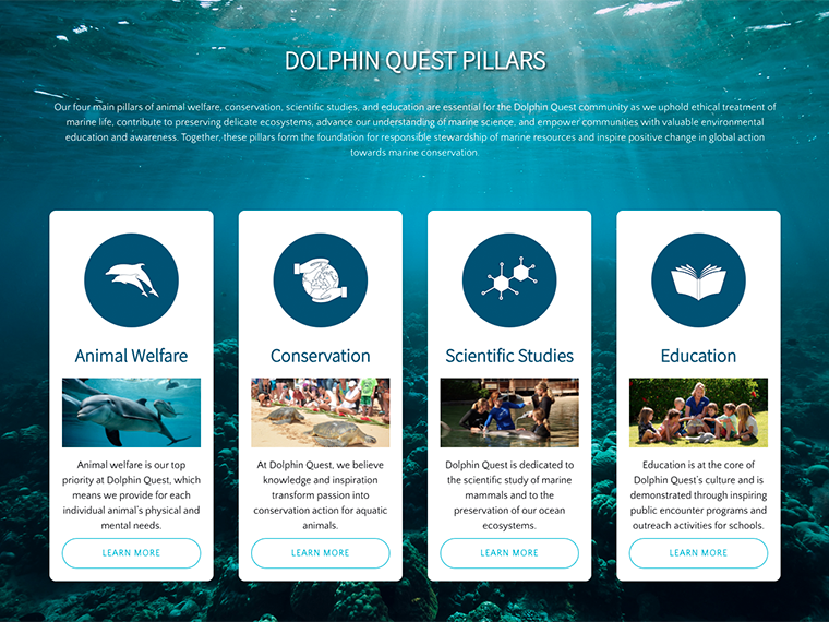 graphical user interface, website