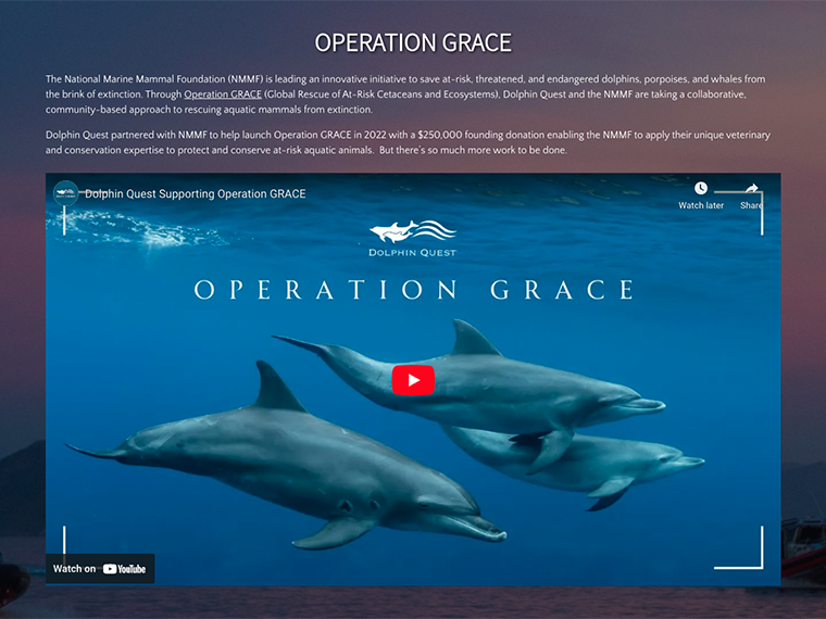 a screen shot of a bird flying in the sky