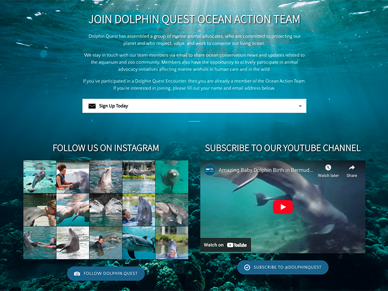 graphical user interface, website