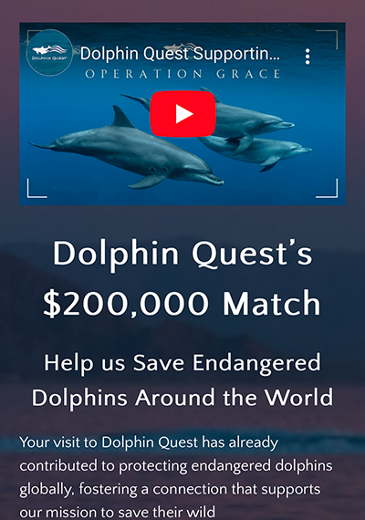 graphical user interface