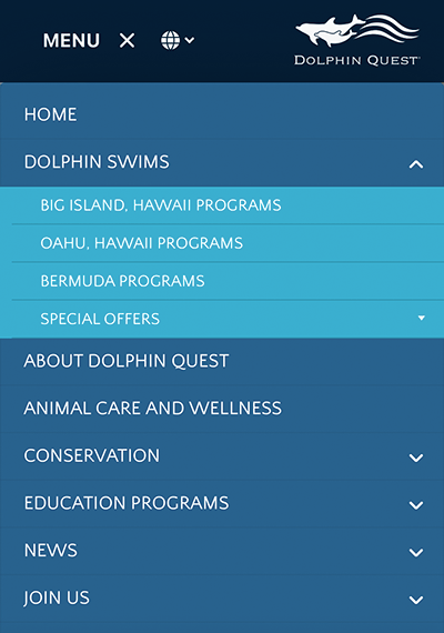 graphical user interface, application